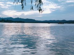 景观位-柳莺湖上·湖景餐厅·江南菜(西湖店)
