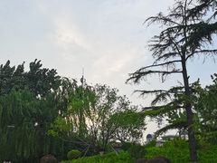 -莲花池公园