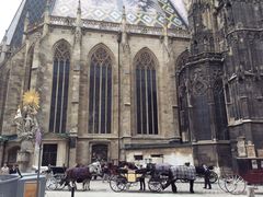 -斯蒂芬主教座堂(Stephansdom)
