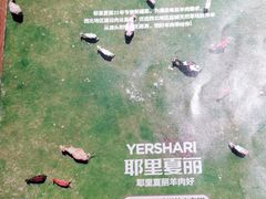 -耶里夏丽·丝路新疆菜·清真食品(徐汇南丹东路臻选店)