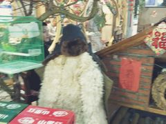 -山里屯铁锅炖(哈尔滨中央大街店)