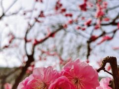 -北京明城墙遗址公园