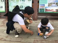 -长兴太湖图影湿地文化园