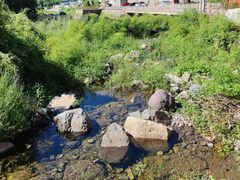 -云岫谷游猎自然风景区