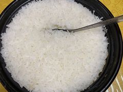 -煲来饱去冷水鱼