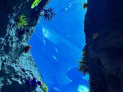 -南昌融创海世界