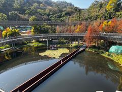 -福道