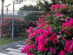 -白鹭洲公园