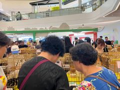 -帕帕拉兹宠物(亚洲旗舰店)