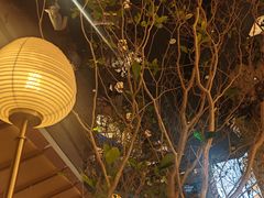 -桂满陇·海市蜃楼·黑金(国金店)