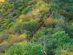 -大岭沟猕猴桃谷风景区