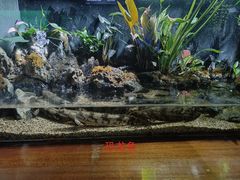 -太平洋海底世界