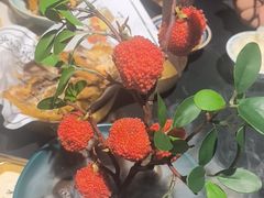 -长安大牌档之龙头酒肆(荣民龙首广场店)