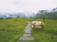 -硗碛藏寨·神木垒景区
