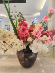 -SILKTONE诗丽堂美容
