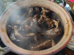 -霞姐屯昌枫木香草鸭店(海螺店)