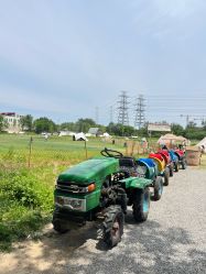-268童话露营营地·烧烤·团建