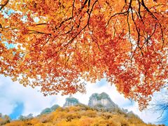 -光雾山旅游景区