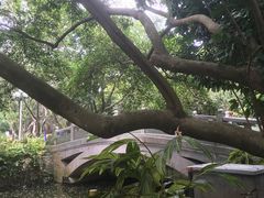 -人民公园(罗湖区)