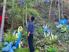 -龙湾潭国家森林公园