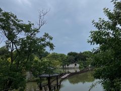 -朴园