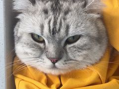 -博特宠物医院24h犬猫全科.骨科·异宠