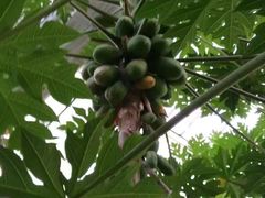 -天源吉布世温泉水乐园