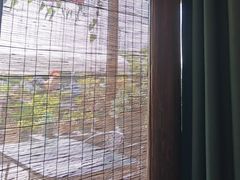 -头上红煨盐鸡·非遗院子餐厅