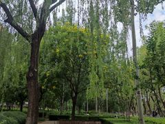 -南长河公园