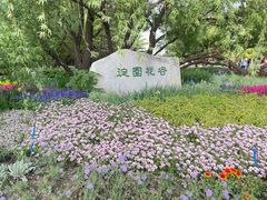 -海淀公园