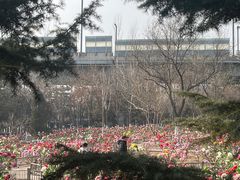 -太原动物园