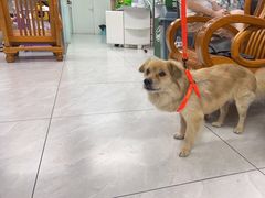 -达爱动物医院·犬猫分区·CT·复杂眼科(远洋山水分院)