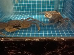 -和和小厨