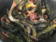 -金海椒罐罐鲢鱼(东方桂苑店)