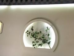 -韵秋荷(宝山龙湖天街店)