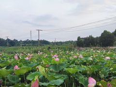-象山森林公园