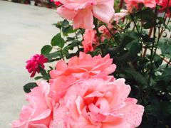 -济南方特东方神画