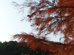 -艾溪湖湿地公园