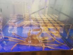 -蟹之国·精品蟹料理(极地店)