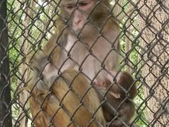 -长白岛森林公园