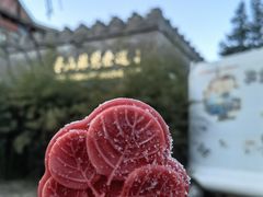-香山公园