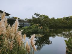 -木守西溪溪隐餐厅