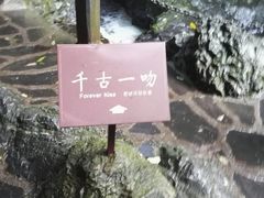 -夏霖九天银瀑风景区