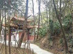 -窦圌山风景区