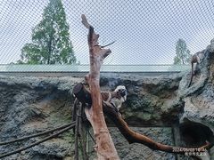 -红山森林动物园