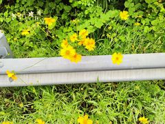 -青龙山国家森林公园