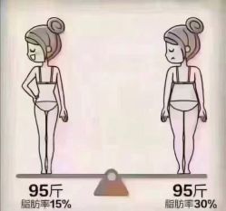-香薇妮丝·定制减肥·身材管理