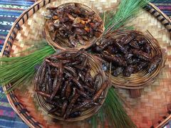 -昆虫窝子·特色云南菜(拓东路总店)