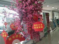 -中国农业银行(苏州姑苏支行营业部)