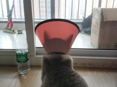 -联合动物医院(光谷诊疗中心)